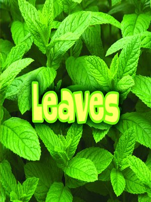cover image of All about Leaves